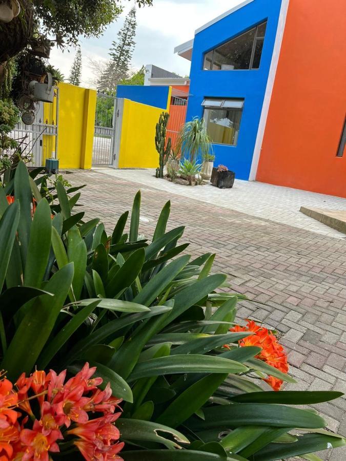 Studio 7 On Risa Port Elizabeth Zewnętrze zdjęcie